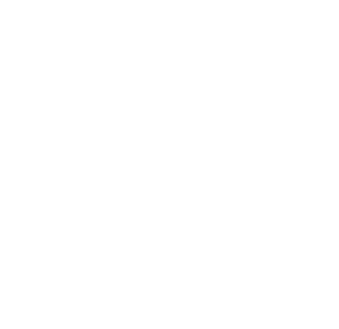 RAIN AI SERVICES